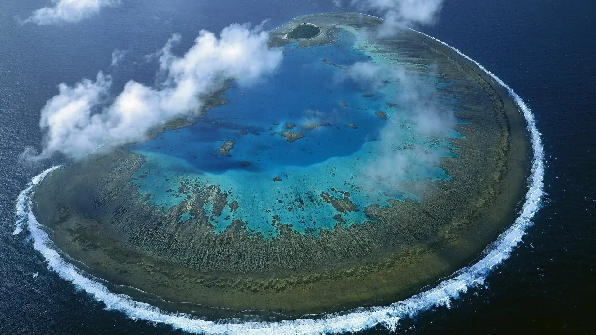 Top 15 Islands on Earth That Don’t Feel Real 6 Great Barrier Island, New Zealand