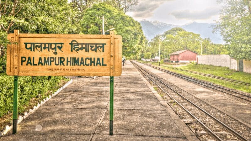 16 Most Exciting Places To Visit In Palampur, Himachal Pradesh