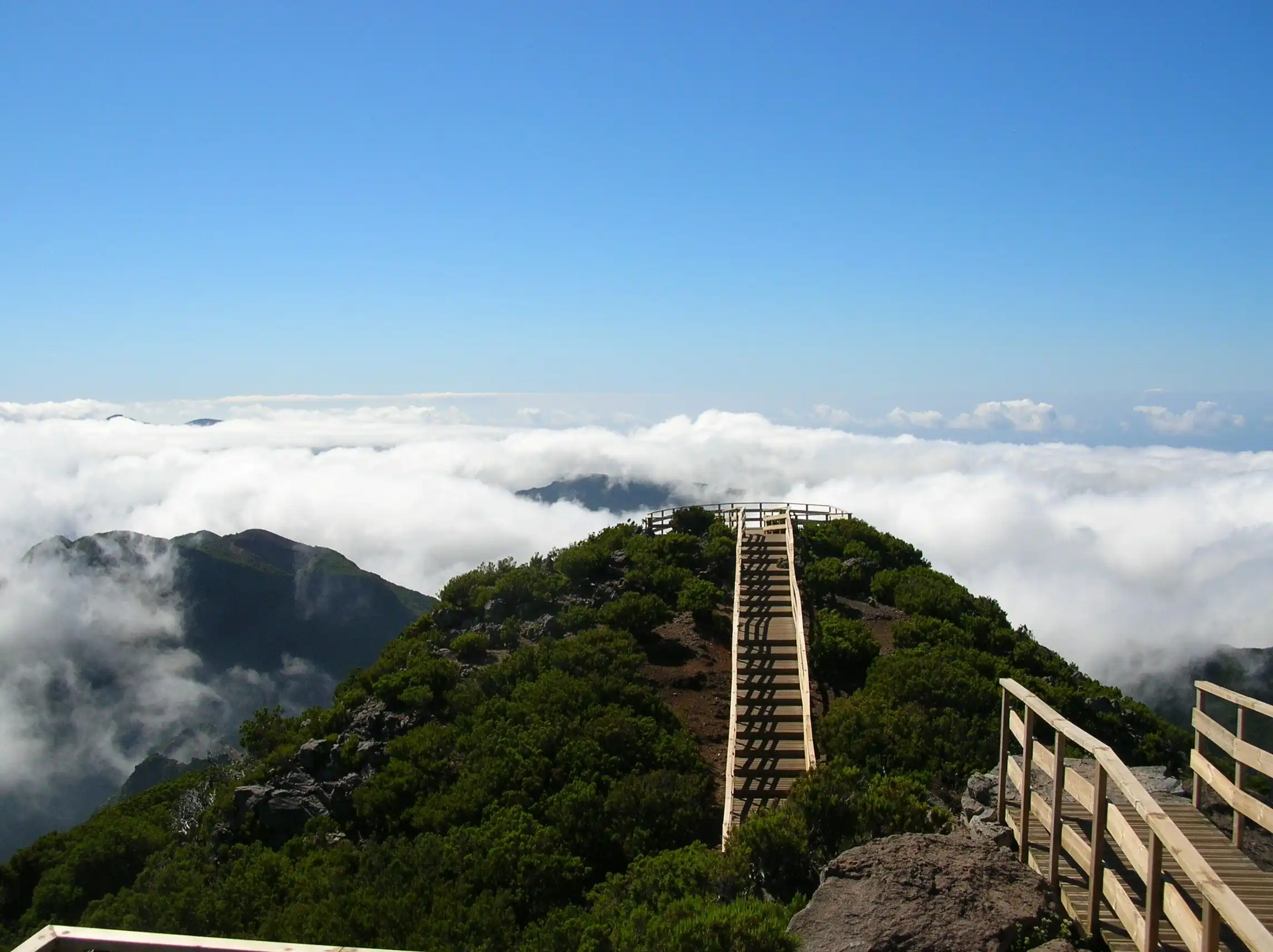 Top 15 Islands on Earth That Don’t Feel Real 13 Pico, Portugal